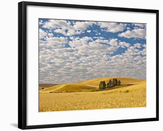 Dawn Breaks on Wheat Field, Walla Walla, Washington, USA-Richard Duval-Framed Photographic Print