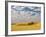 Dawn Breaks on Wheat Field, Walla Walla, Washington, USA-Richard Duval-Framed Photographic Print