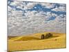 Dawn Breaks on Wheat Field, Walla Walla, Washington, USA-Richard Duval-Mounted Photographic Print