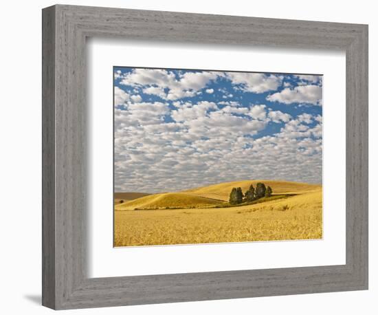 Dawn Breaks on Wheat Field, Walla Walla, Washington, USA-Richard Duval-Framed Photographic Print