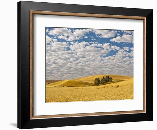 Dawn Breaks on Wheat Field, Walla Walla, Washington, USA-Richard Duval-Framed Photographic Print