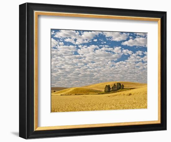 Dawn Breaks on Wheat Field, Walla Walla, Washington, USA-Richard Duval-Framed Photographic Print