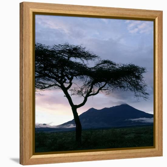 Dawn Breaks over Mount Meru, Tanzania-Nigel Pavitt-Framed Premier Image Canvas