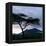 Dawn Breaks over Mount Meru, Tanzania-Nigel Pavitt-Framed Premier Image Canvas