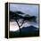 Dawn Breaks over Mount Meru, Tanzania-Nigel Pavitt-Framed Premier Image Canvas