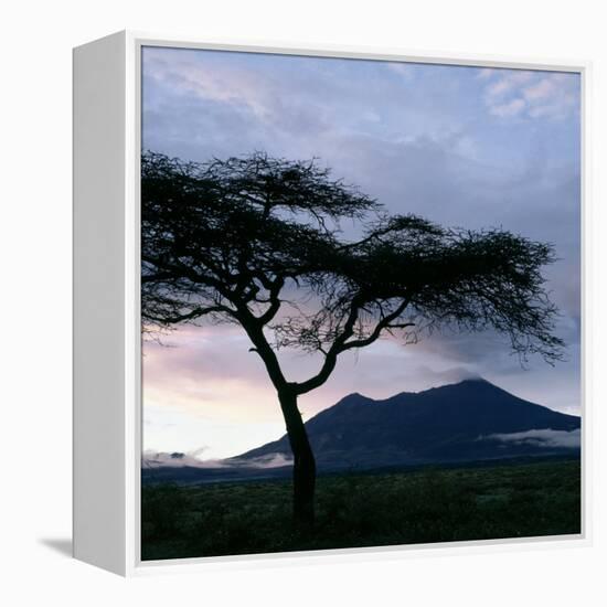 Dawn Breaks over Mount Meru, Tanzania-Nigel Pavitt-Framed Premier Image Canvas