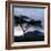 Dawn Breaks over Mount Meru, Tanzania-Nigel Pavitt-Framed Photographic Print