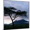 Dawn Breaks over Mount Meru, Tanzania-Nigel Pavitt-Mounted Photographic Print