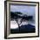 Dawn Breaks over Mount Meru, Tanzania-Nigel Pavitt-Framed Photographic Print