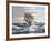 Dawn Chase-Montague Dawson-Framed Giclee Print