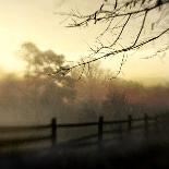 Foggy Sunrise-Dawn D^ Hanna-Photographic Print