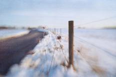 Walking on the Edge of Winter-Dawn D^ Hanna-Photographic Print