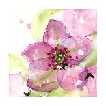 Pink Flower in the Snow-Dawn Derman-Framed Art Print