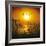 Dawn Flight-Adrian Campfield-Framed Photographic Print