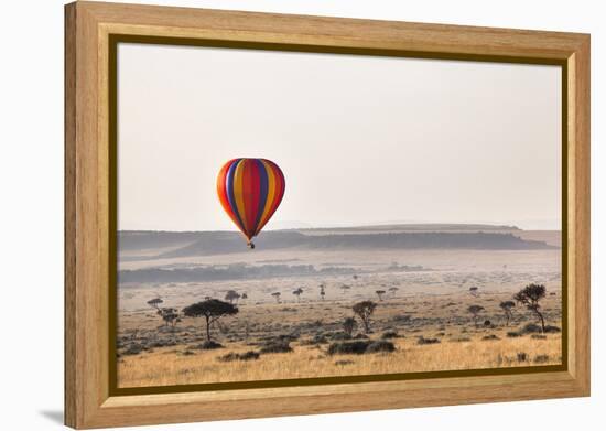 Dawn Hot Air Balloon Ride, Masai Mara National Reserve, Kenya, East Africa, Africa-Ann and Steve Toon-Framed Premier Image Canvas