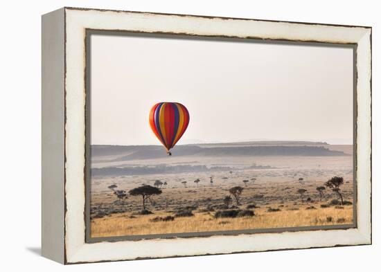 Dawn Hot Air Balloon Ride, Masai Mara National Reserve, Kenya, East Africa, Africa-Ann and Steve Toon-Framed Premier Image Canvas