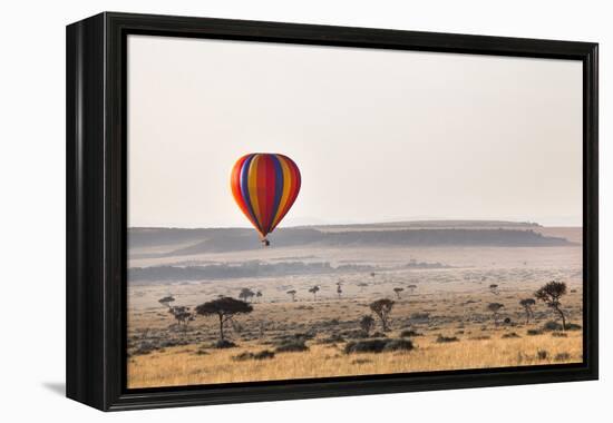 Dawn Hot Air Balloon Ride, Masai Mara National Reserve, Kenya, East Africa, Africa-Ann and Steve Toon-Framed Premier Image Canvas