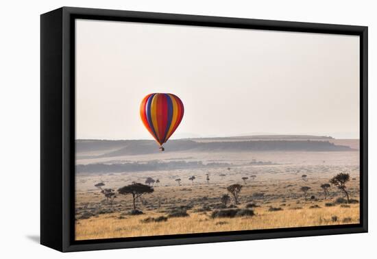 Dawn Hot Air Balloon Ride, Masai Mara National Reserve, Kenya, East Africa, Africa-Ann and Steve Toon-Framed Premier Image Canvas