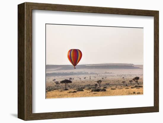 Dawn Hot Air Balloon Ride, Masai Mara National Reserve, Kenya, East Africa, Africa-Ann and Steve Toon-Framed Photographic Print