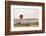 Dawn Hot Air Balloon Ride, Masai Mara National Reserve, Kenya, East Africa, Africa-Ann and Steve Toon-Framed Photographic Print