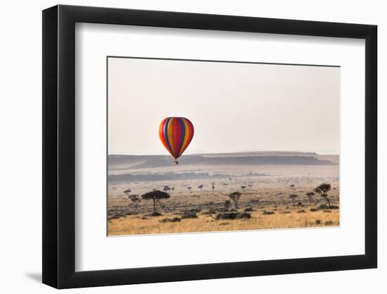 Dawn Hot Air Balloon Ride, Masai Mara National Reserve, Kenya, East Africa, Africa-Ann and Steve Toon-Framed Photographic Print