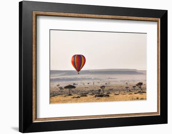 Dawn Hot Air Balloon Ride, Masai Mara National Reserve, Kenya, East Africa, Africa-Ann and Steve Toon-Framed Photographic Print