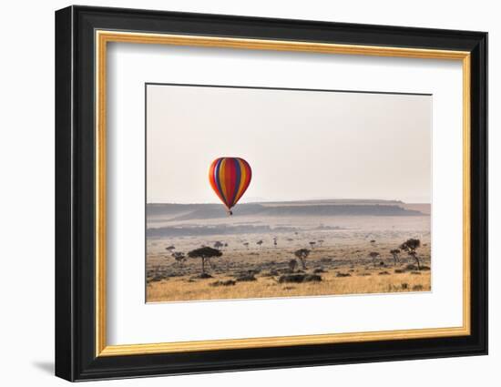 Dawn Hot Air Balloon Ride, Masai Mara National Reserve, Kenya, East Africa, Africa-Ann and Steve Toon-Framed Photographic Print