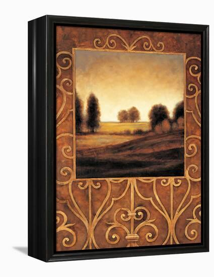 Dawn I-Andres Gonzales-Framed Stretched Canvas