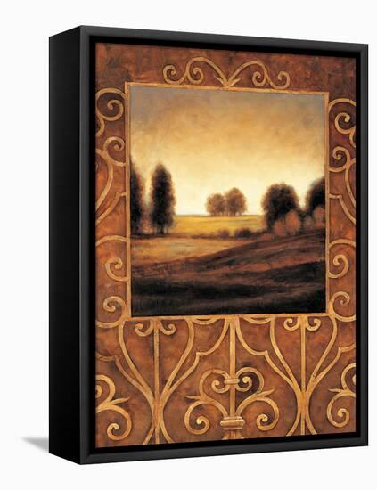 Dawn I-Andres Gonzales-Framed Stretched Canvas