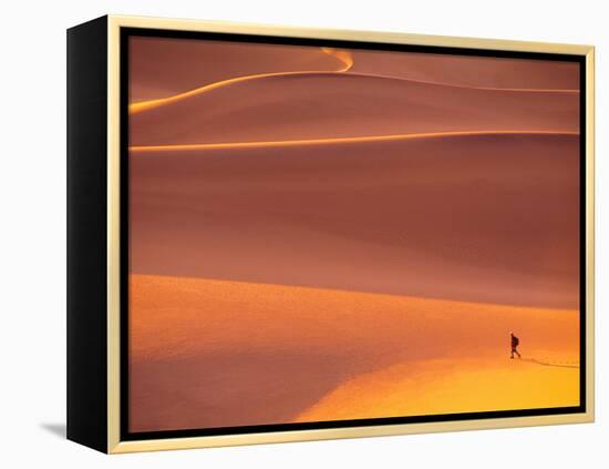 Dawn in Death Valley National park, California, USA-Charles Sleicher-Framed Premier Image Canvas