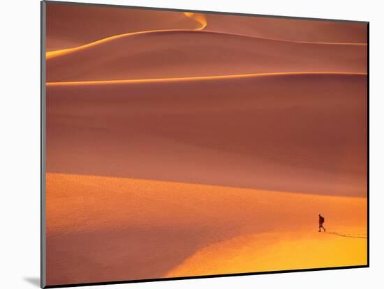 Dawn in Death Valley National park, California, USA-Charles Sleicher-Mounted Photographic Print