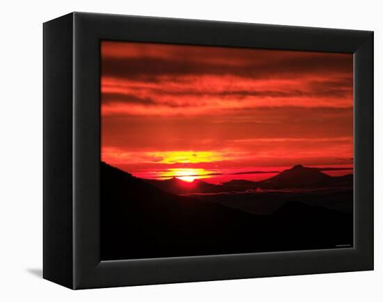 Dawn in Shiretoko-null-Framed Premier Image Canvas
