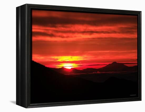 Dawn in Shiretoko-null-Framed Premier Image Canvas