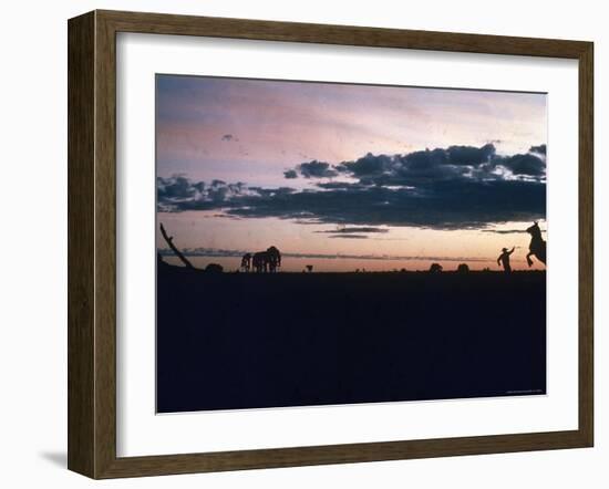 Dawn in the Australian Outback Finds a Stockman Trying to Calm His Rearing Horse-George Silk-Framed Photographic Print