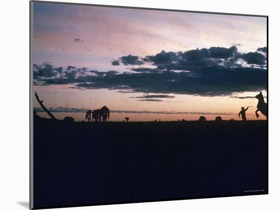 Dawn in the Australian Outback Finds a Stockman Trying to Calm His Rearing Horse-George Silk-Mounted Photographic Print