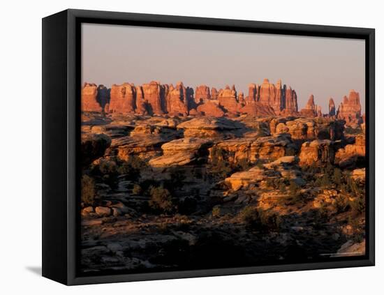 Dawn in the Needles District, Cedar Mesa Sandstone, Canyonlands National Park, Utah, USA-Jerry & Marcy Monkman-Framed Premier Image Canvas