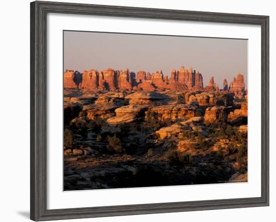 Dawn in the Needles District, Cedar Mesa Sandstone, Canyonlands National Park, Utah, USA-Jerry & Marcy Monkman-Framed Photographic Print