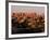 Dawn in the Needles District, Cedar Mesa Sandstone, Canyonlands National Park, Utah, USA-Jerry & Marcy Monkman-Framed Photographic Print