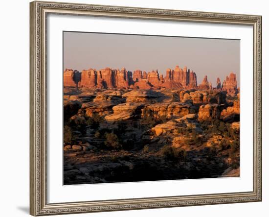Dawn in the Needles District, Cedar Mesa Sandstone, Canyonlands National Park, Utah, USA-Jerry & Marcy Monkman-Framed Photographic Print