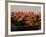 Dawn in the Needles District, Cedar Mesa Sandstone, Canyonlands National Park, Utah, USA-Jerry & Marcy Monkman-Framed Photographic Print