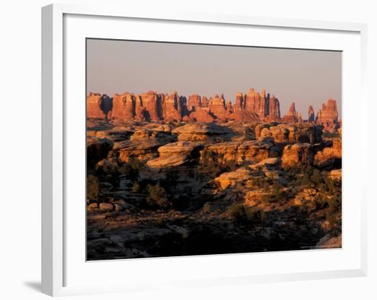 Dawn in the Needles District, Cedar Mesa Sandstone, Canyonlands National Park, Utah, USA-Jerry & Marcy Monkman-Framed Photographic Print