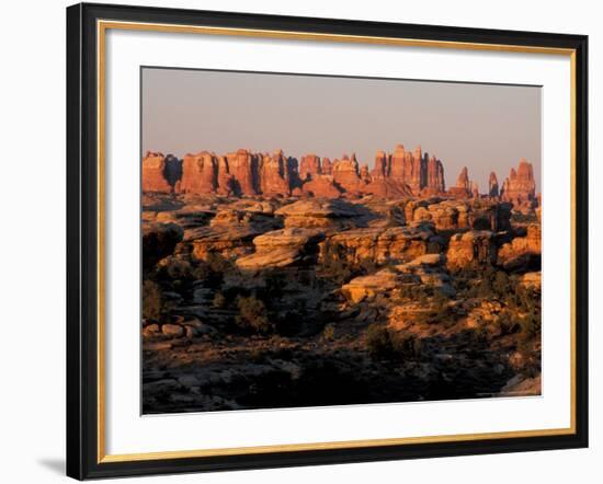 Dawn in the Needles District, Cedar Mesa Sandstone, Canyonlands National Park, Utah, USA-Jerry & Marcy Monkman-Framed Photographic Print