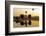 Dawn Light at Prosser Balloon Rally, Prosser, Washington, USA-Richard Duval-Framed Photographic Print