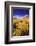 Dawn Light on Rabbitbrush and Sierra Crest, Inyo National Forest, California-Russ Bishop-Framed Photographic Print