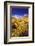 Dawn Light on Rabbitbrush and Sierra Crest, Inyo National Forest, California-Russ Bishop-Framed Photographic Print