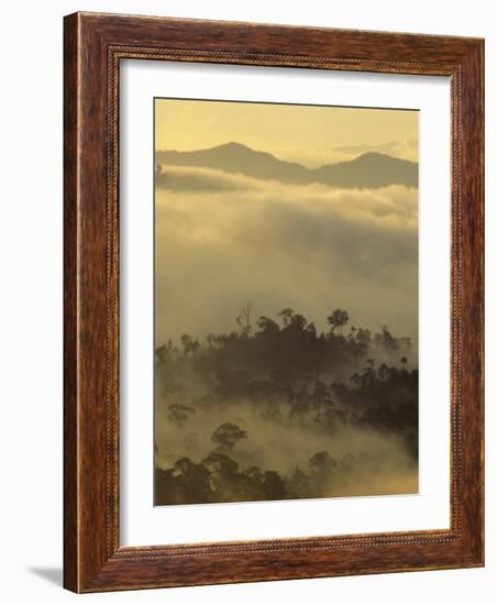 Dawn Light Silhouettes the Trees of the Rainforest, Danum Valley, Sabah, Island of Borneo, Malaysia-Louise Murray-Framed Photographic Print