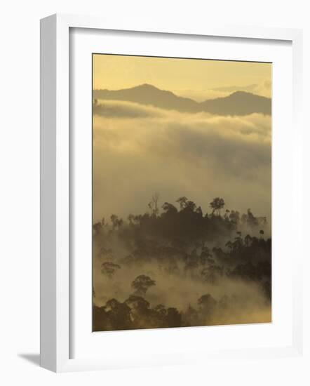 Dawn Light Silhouettes the Trees of the Rainforest, Danum Valley, Sabah, Island of Borneo, Malaysia-Louise Murray-Framed Photographic Print