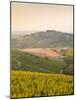 Dawn Light Starts to Fill the Skies Above the Village and Vineyards of Sanerre, Cher, Loire Valley,-Julian Elliott-Mounted Photographic Print