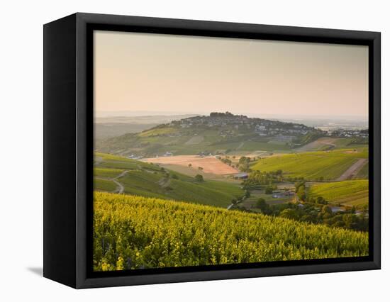 Dawn Light Starts to Fill the Skies Above the Village and Vineyards of Sanerre, Cher, Loire Valley,-Julian Elliott-Framed Premier Image Canvas