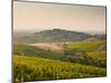 Dawn Light Starts to Fill the Skies Above the Village and Vineyards of Sanerre, Cher, Loire Valley,-Julian Elliott-Mounted Photographic Print